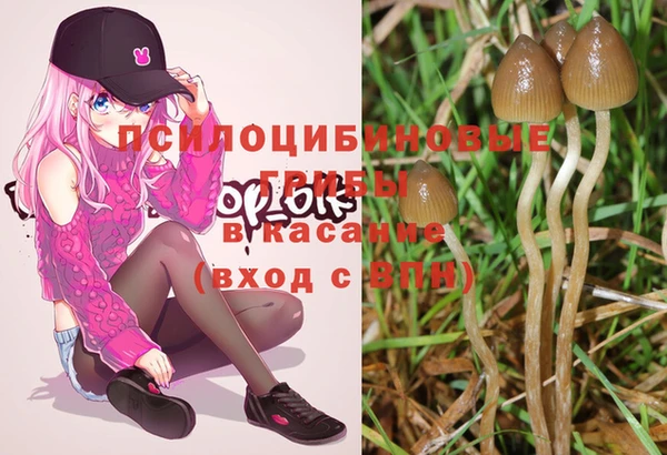 MDMA Ельня