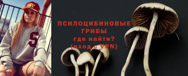 синтетический гашиш Елизово