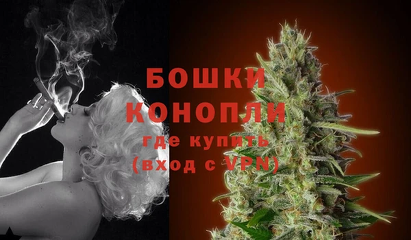 MDMA Ельня