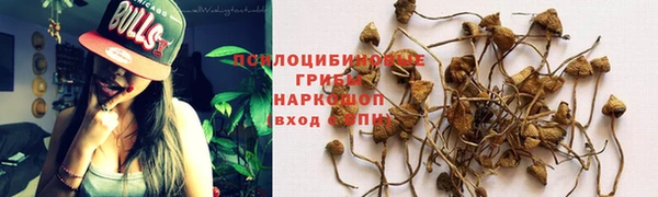 синтетический гашиш Елизово