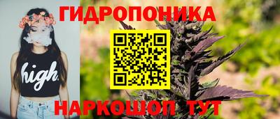 твердый Гай