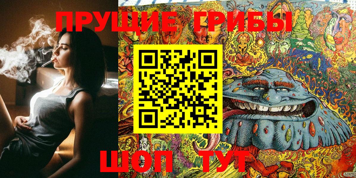 Псилоцибиновые грибы Psilocybine cubensis  Вход с VPN  Знаменск 
