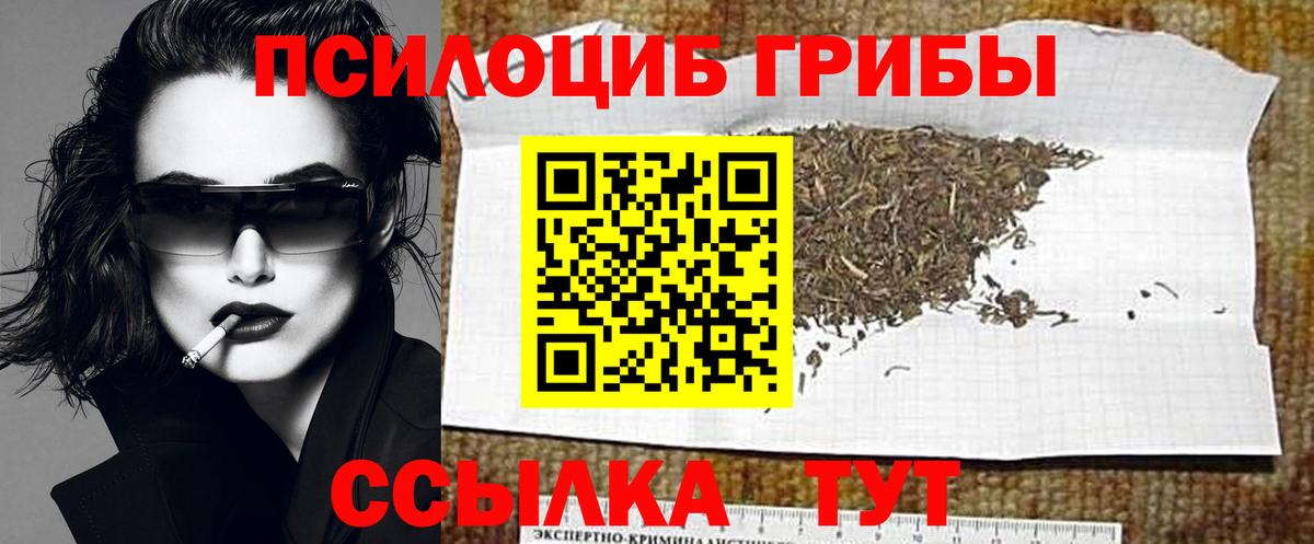 Псилоцибиновые грибы мухоморы Знаменск